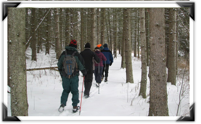 snowshoeing.png